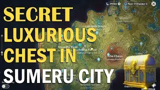 Secret Luxurious Chest in Sumeru City | Sumeru Luxurious Chest Genshin Impact
