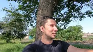 Меня покусали пчелы