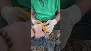 Hazine Avcıları Muhteşem Defineyi Çıkardı !!
