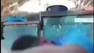 Jangan Main main dengan ular peliharaan ahirnya di gigit sendiri di kepala