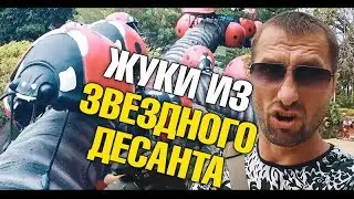 Гигантская рыба-монстр Арапайма. Огромные насекомые. Динозавры и шоу слонов. Сад Нонг Нуч