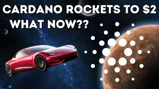 $2 ADA!! What's Next For Cardano? Thoughts on Elon, India COVID Charity Update