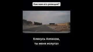 Как вам его реакция?