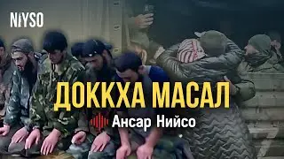 Доккха масал | Ансар Нийсо
