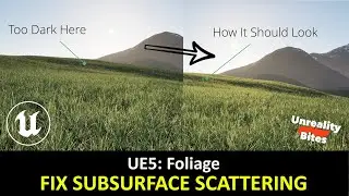 UE5 | Get Better Looking Megascans Foliage with this QUICK FIX