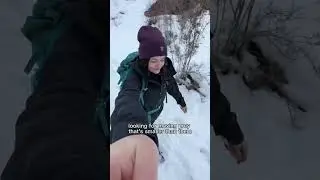 What to do if you see a Mountain Lion aka a Cougar