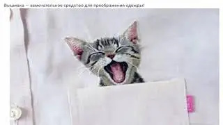 Секрет в мелочах интересные детали одежды