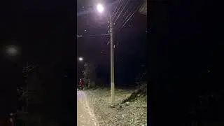 22 ноября 2023 г.