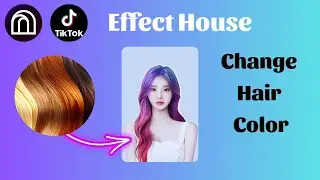 Hair Segmentation Tutorial TikTok Effect House  | Cách thay đổi màu tóc trong Effect House