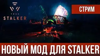 Исследуем глобальный мод для Сталкера - True Stalker | СТРИМ