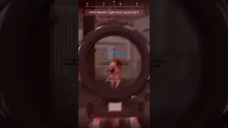 STALCRAFT X l Яростные аванпосты и драки за респект!)