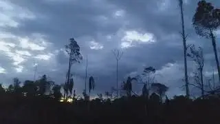 🤗SOM DE ROÇA🌽🌾🌿