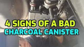4 SIGNS IT'S TIME TO CHANGE THE CHARCOAL CANISTER