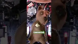 la VERITÀ su SCRAPPY-DOO nel live action di SCOOBY-DOO del 2002!