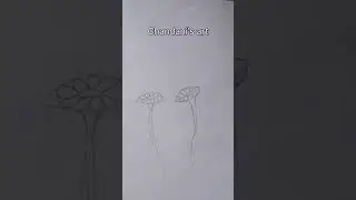 How to draw flower#simpletrick#uniquetrick#drawing