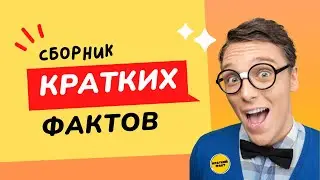 Интересные факты: сборник 1
