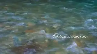 Песня 2000г❤️