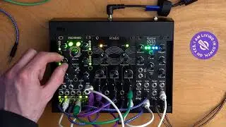 3 Module Challenge - Marbles, Rings, Electus Versio
