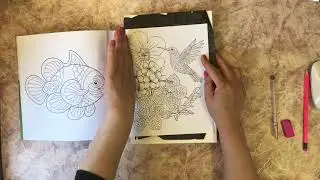Как нарисовать Колибри oil 1 часть