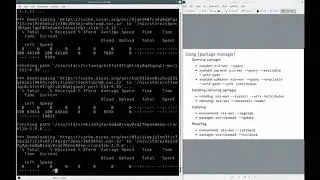 Packaging with Nix