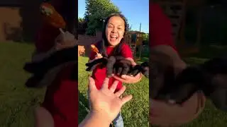 Cute baby shares lollipop to dad 👶🏻❤️🧑🏻👩🏻🤣🥰🌈✅🚀😱