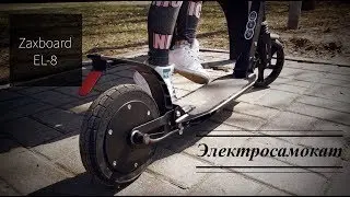 Zaxboard EL-8 review of children's scooter