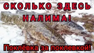 Вот это жор! 