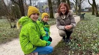 Firbcologi: zvončki