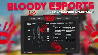 Bloody ESports, как установить макросы на софт от Блади?