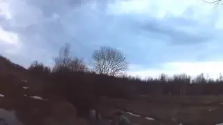 Королевский выстрел