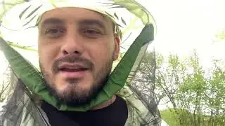 Сила бджолиних сімей. Як дотягнути до здачі пакетів…