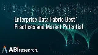 Enterprise Data Fabric Best Practices and Market Potential