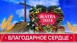Благодарное СЕРДЦЕ // Максим Веренчук | Жатва 2024 | Христианские проповеди