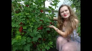 Обряд на любовь мужчины
