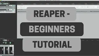 Reaper Beginners Tutorial - Recording Guitar and Vocals