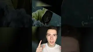 НИКОГДА НЕ ДОВЕРЯЙ ПАСХАЛЬНОМУ КРОЛИКУ 