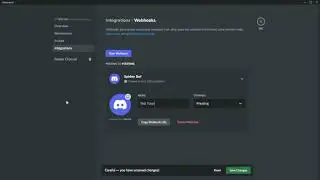 Simple Discord webhooks! | Discord Python #01