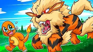 How I Survived Pokemon's Most ABSURD Rom Hack…