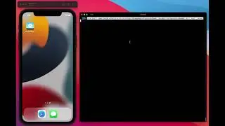 How to use xcrun simctl to set managed app configuration for testing in iOS simulator