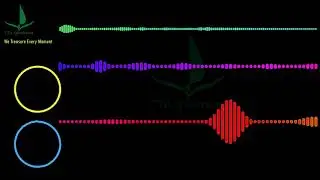 Clarx - Bones 