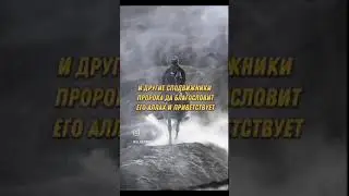 24 ноября 2023 г.