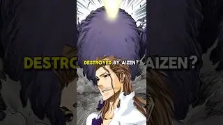 What Happened after Aizen Destroyed the Cleaner? 