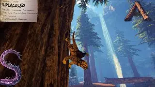 Alpha Thylacoleo Taming! ARK The Center Reborn EP2