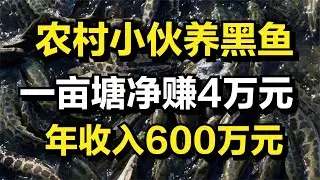 农村小伙养黑鱼，一亩塘能净赚4万元，年收入高达600万元！