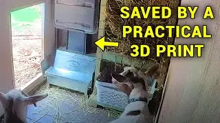 5 Practical 3D prints that saved the day