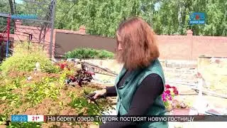 Руки садовода – как продлить цветение спиреи