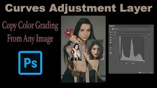 Transfer Color Grading From One Image to Another (PHOTOSHOP: CURVES ADJUSTMENT LAYER)