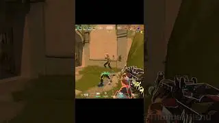 immortal phoenix ace unleashing the flames 