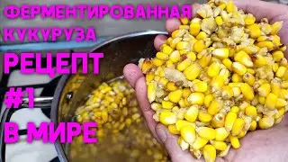 ФЕРМЕНТИРОВАННАЯ "ПЬЯНАЯ" КУКУРУЗА. РЕЦЕПТ #1 В МИРЕ #ферментировнаякукуруза #пьянаякукуруза