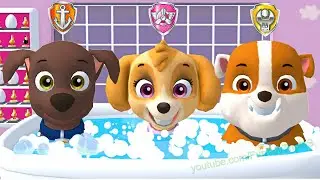 PAW Patrol - A Day in Adventure Bay & Skye & Zuma & Rubble